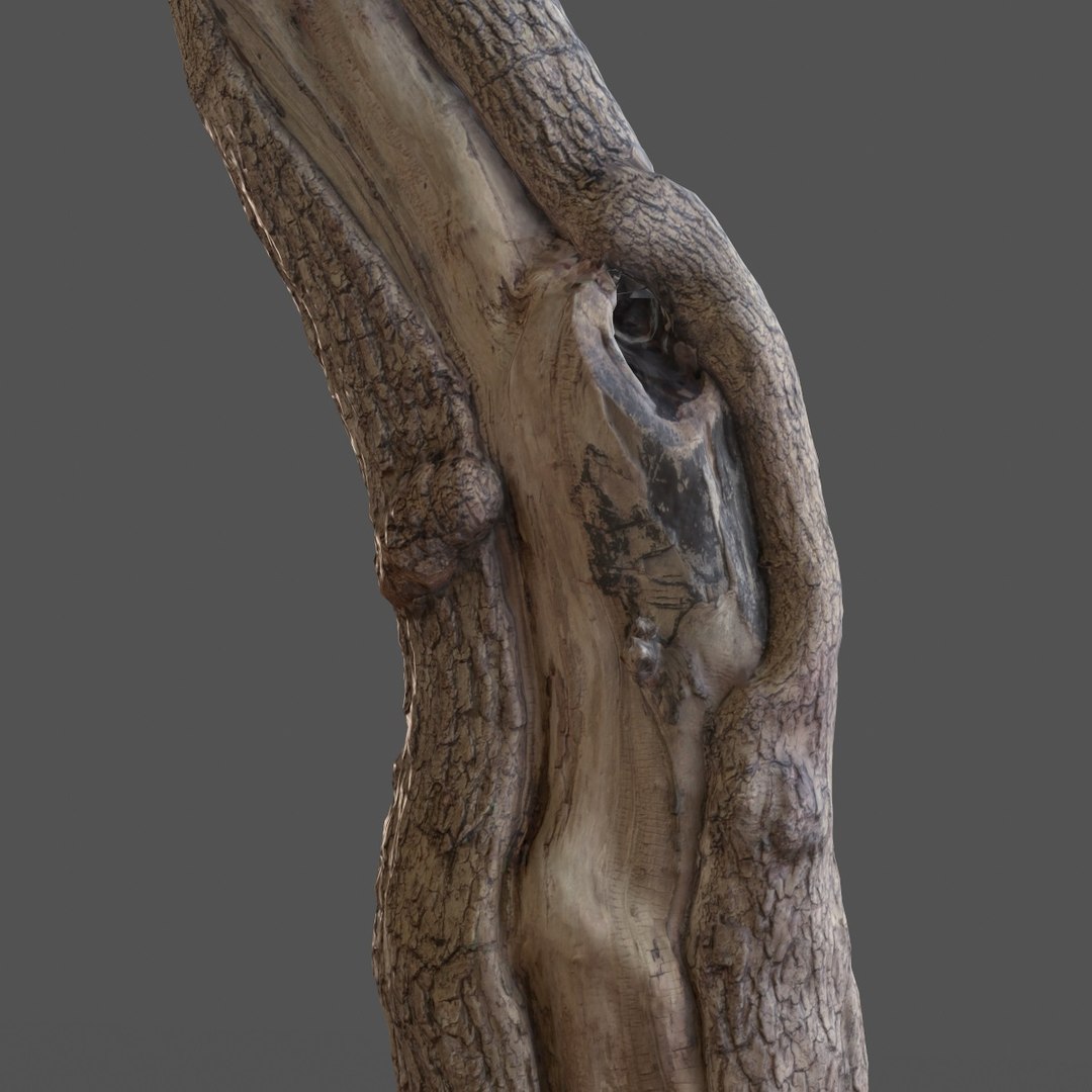 Tree Asset Obj