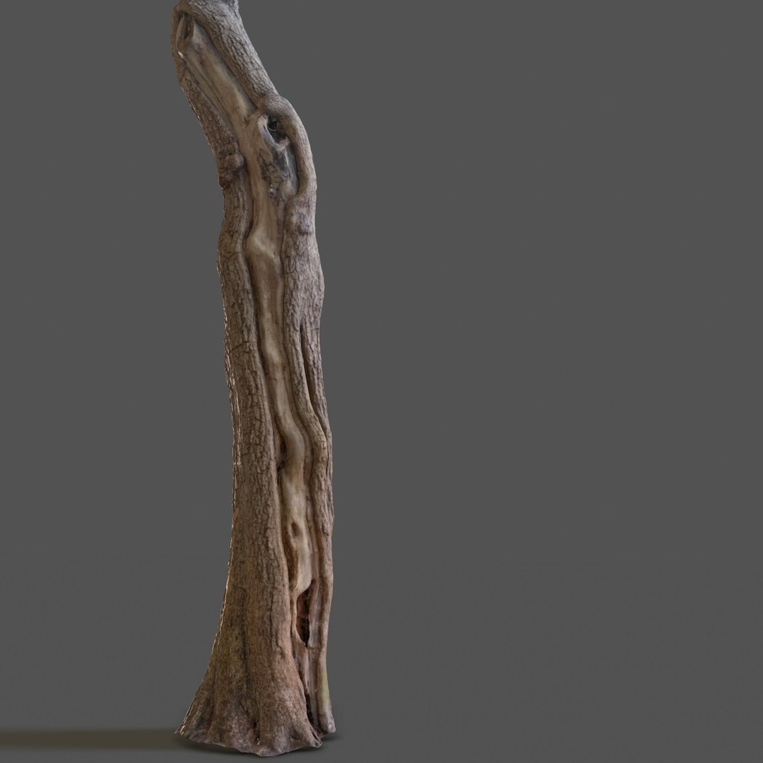 tree asset obj