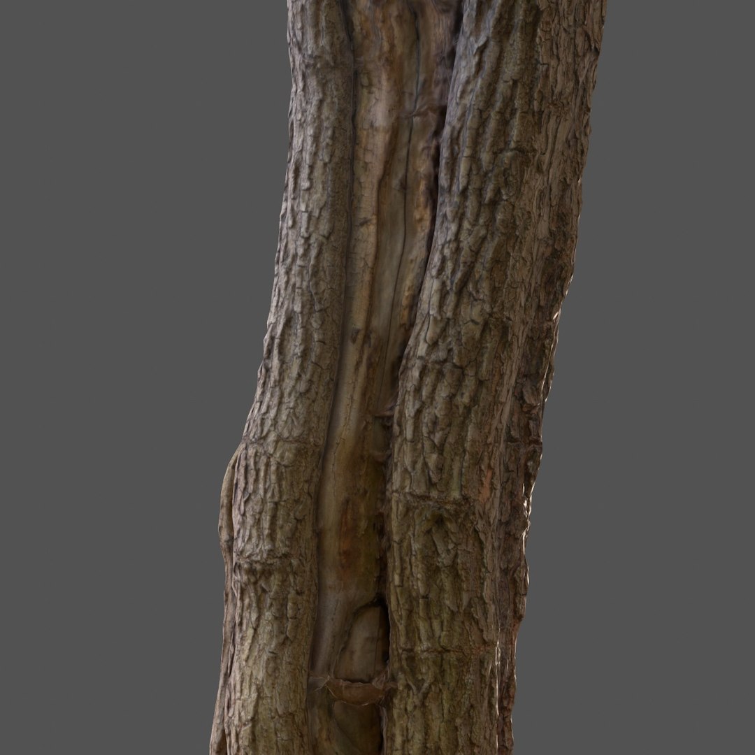 Tree Asset Obj