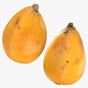Whole Loquat Collection