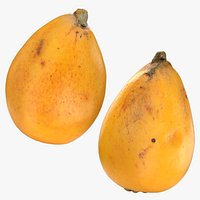 Whole Loquat Collection