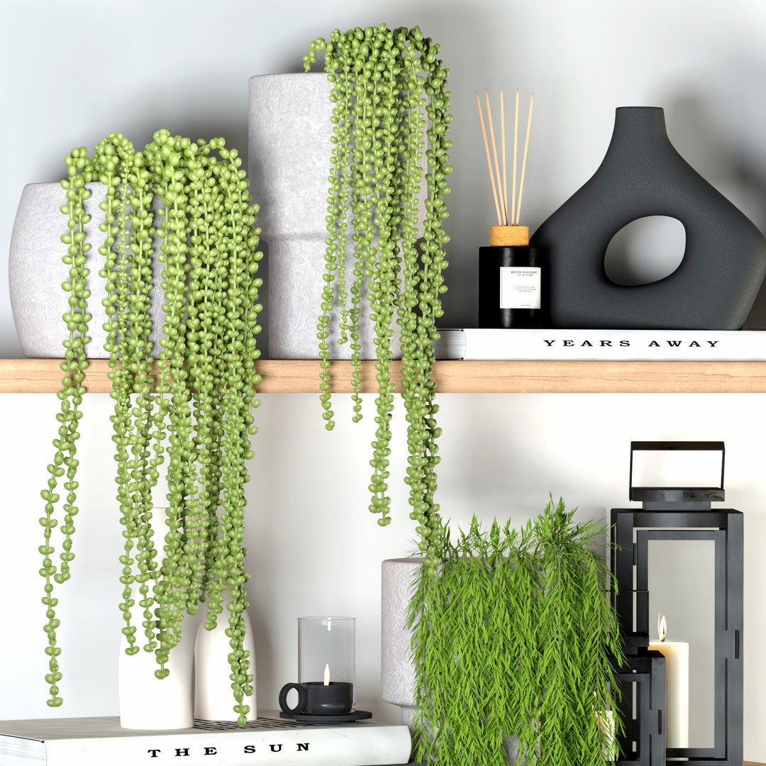 Decorative Set 02 Model - TurboSquid 2255530