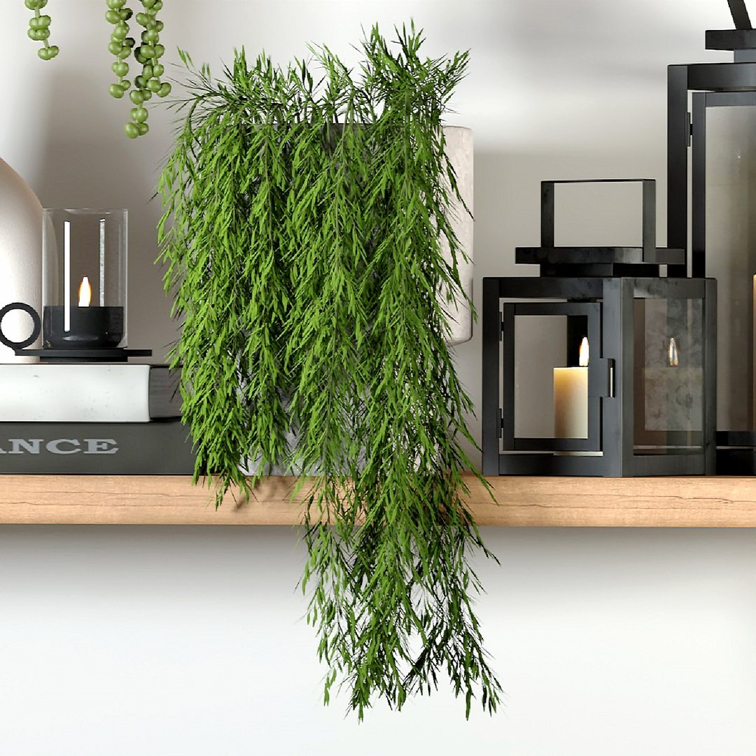 Decorative Set 02 Model - TurboSquid 2255530