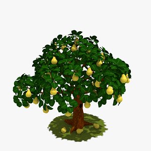 3d pear tree model