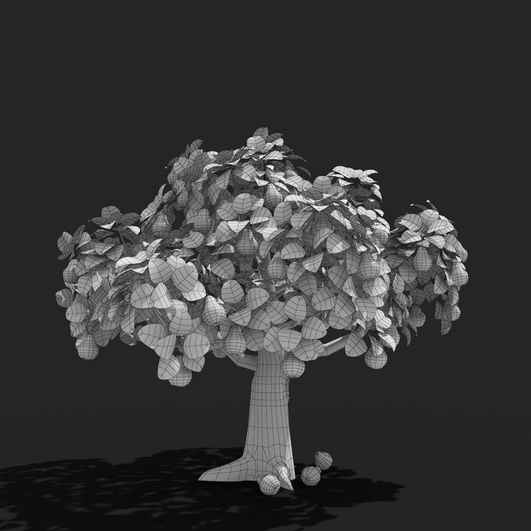3d pear tree model