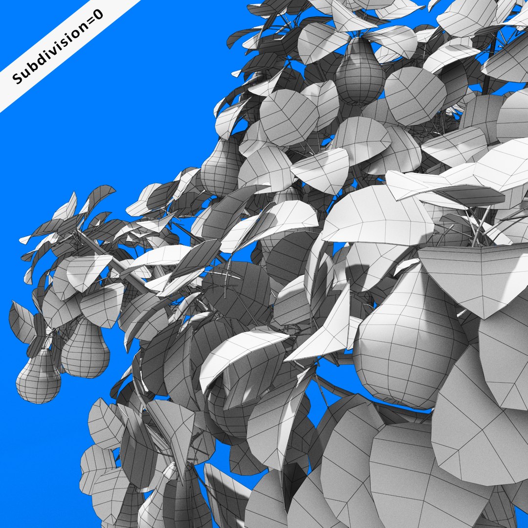 3d Pear Tree Model