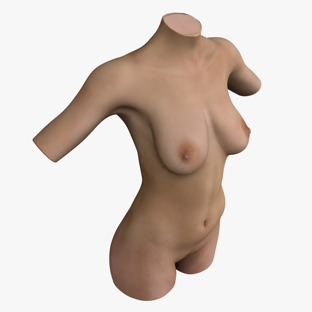 Women Breast Full C Cup Size. Natural Breast Naked Model Torso. Side View  On Women. 3D Rendering Stock Photo, Picture and Royalty Free Image. Image  161697172.