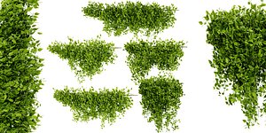 Collection plant vol 529 - blender model