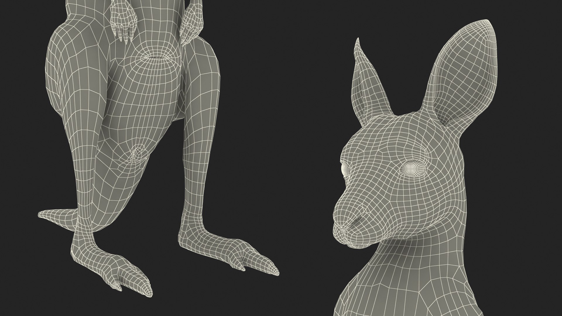 3D Baby Kangaroo in Standing Pose model https://p.turbosquid.com/ts-thumb/n1/MPiXxs/10/babykangarooinstandingpose3dmodel026/jpg/1719547874/1920x1080/fit_q87/64728c3d6a5a409d68e0a4ff780b876afa2e1649/babykangarooinstandingpose3dmodel026.jpg