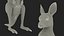 Baby Kangaroo in Standing Pose