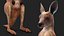 Baby Kangaroo in Standing Pose