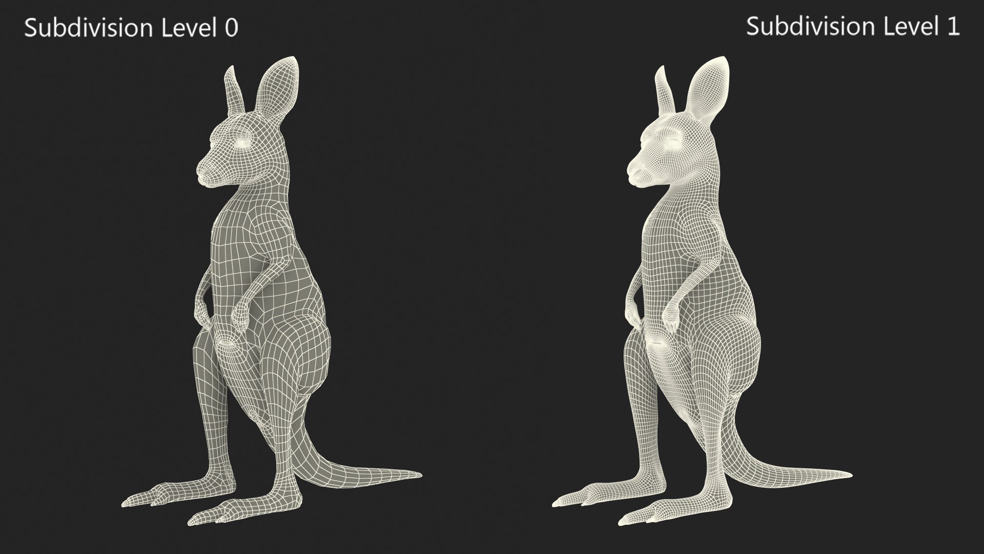 3D Baby Kangaroo in Standing Pose model https://p.turbosquid.com/ts-thumb/n1/MPiXxs/84/babykangarooinstandingpose3dmodel016/jpg/1719547831/1920x1080/fit_q87/6f1c5be33ab19e4dd0b328dd4ba48dff94644751/babykangarooinstandingpose3dmodel016.jpg