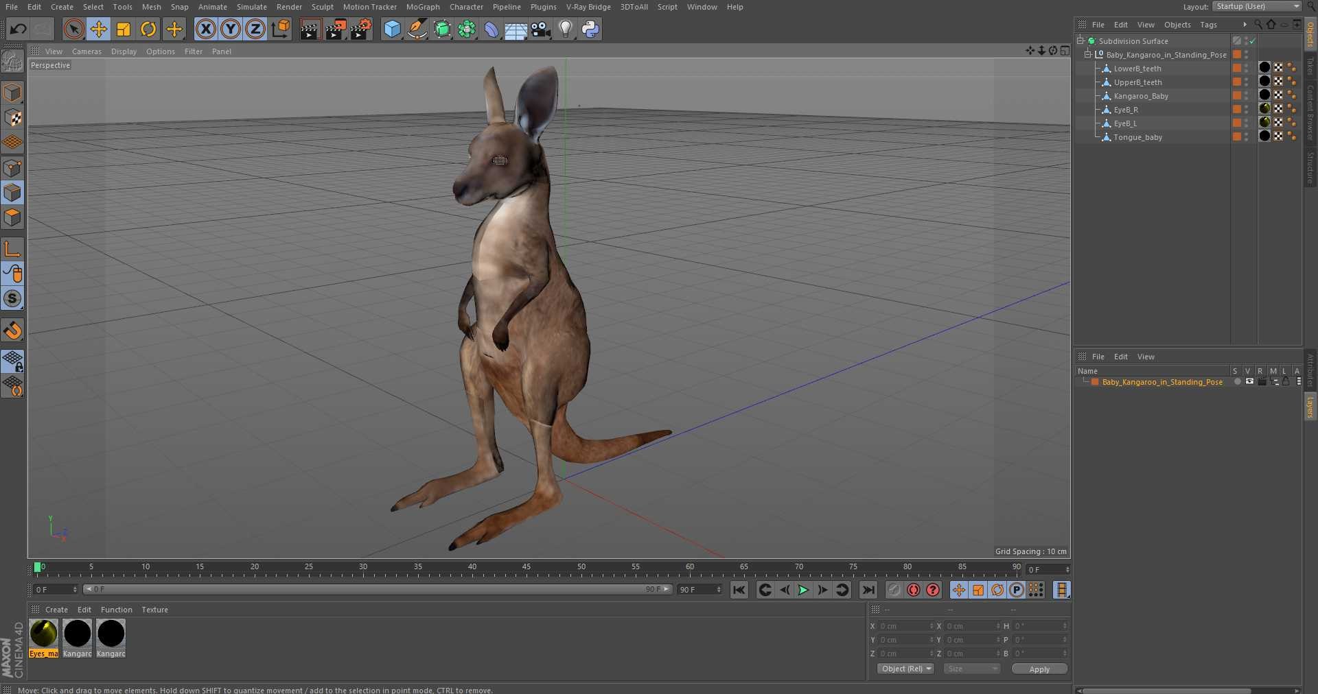 3D Baby Kangaroo in Standing Pose model https://p.turbosquid.com/ts-thumb/n1/MPiXxs/9E/babykangarooinstandingpose3dmodel022/jpg/1719547856/1920x1080/fit_q87/4e3e74ffa674393576f3e22bf45718da900c2d38/babykangarooinstandingpose3dmodel022.jpg