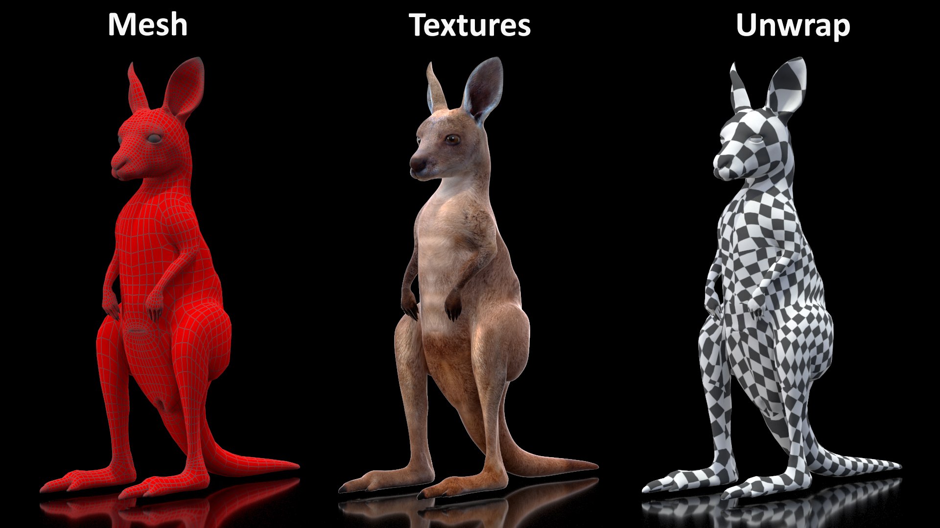 3D Baby Kangaroo in Standing Pose model https://p.turbosquid.com/ts-thumb/n1/MPiXxs/9x/babykangarooinstandingpose3dmodel015/jpg/1719547826/1920x1080/fit_q87/23a0fc697031e495f2142ec6c0fb49e76d479280/babykangarooinstandingpose3dmodel015.jpg