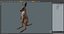 Baby Kangaroo in Standing Pose