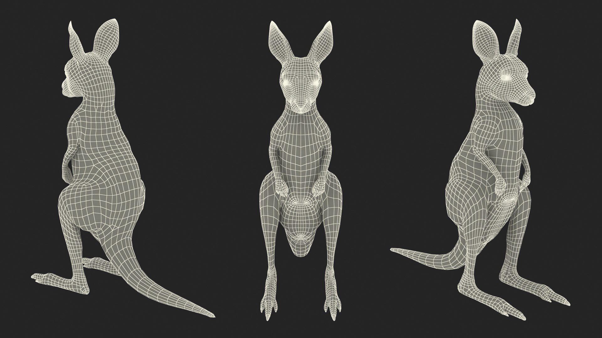 3D Baby Kangaroo in Standing Pose model https://p.turbosquid.com/ts-thumb/n1/MPiXxs/kC/babykangarooinstandingpose3dmodel024/jpg/1719547865/1920x1080/fit_q87/ec411d79ffe7dd060b6643ce15c29a1559fbda34/babykangarooinstandingpose3dmodel024.jpg