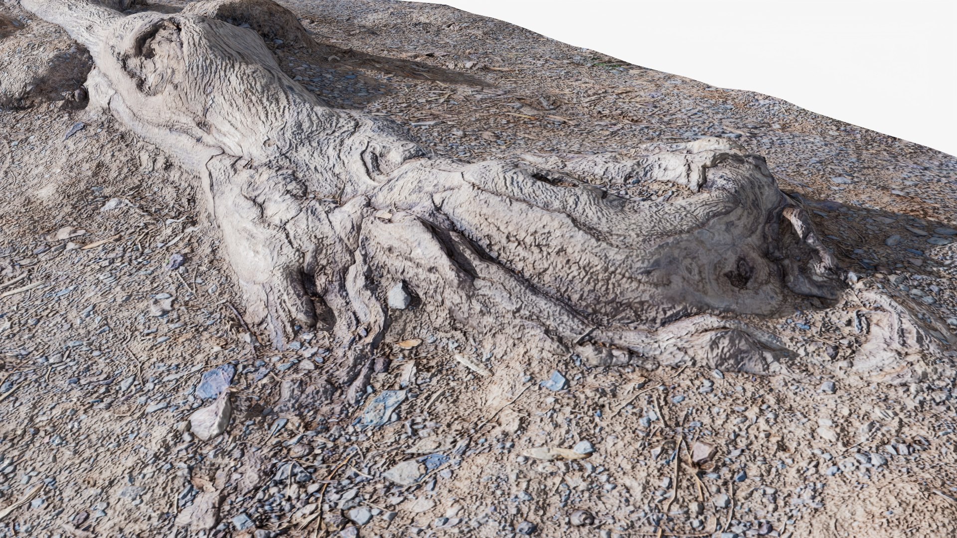 Scanned Ground Root StemCell Model - TurboSquid 2371467