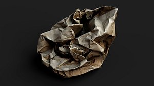 3D crumpled paper bag trash pt3 PBR photogrammetry