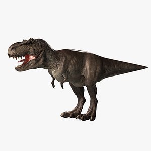 trex dinosaur 3d model