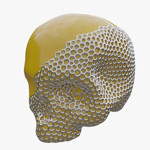 3D model Lattice Skull 03