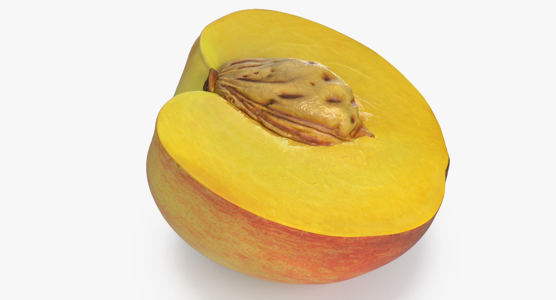 half peach seed 3D https://p.turbosquid.com/ts-thumb/n2/F2OQpE/4GZAhv9J/halfofpeachwithseed3dmodel002/jpg/1503633055/1920x1080/fit_q87/8fa1f355f4cdb3968e9099d126b776fde4f7475a/halfofpeachwithseed3dmodel002.jpg