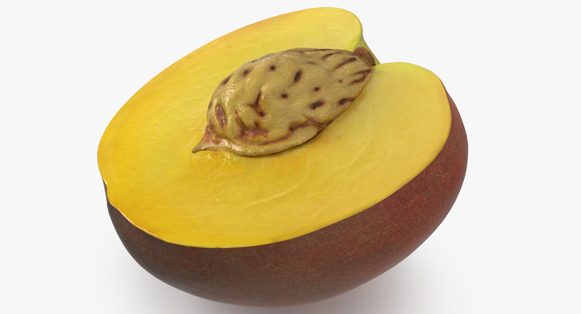 Half of Peach with Seed 3D Model 3D model preview