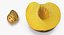 Half of Peach with Seed 3D Model