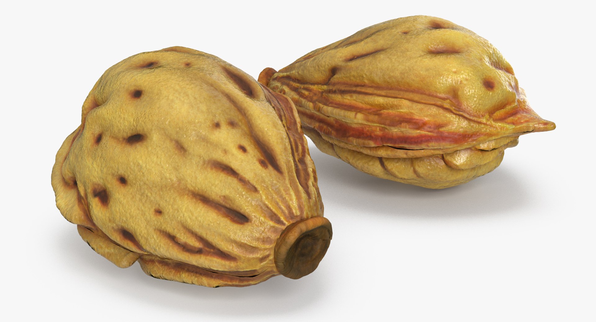 half peach seed 3D https://p.turbosquid.com/ts-thumb/n2/F2OQpE/UisEFMa4/halfofpeachwithseed3dmodel008/jpg/1503633055/1920x1080/fit_q87/06e64256dbd8a7a3d5b37c68a77020725eb6e83d/halfofpeachwithseed3dmodel008.jpg