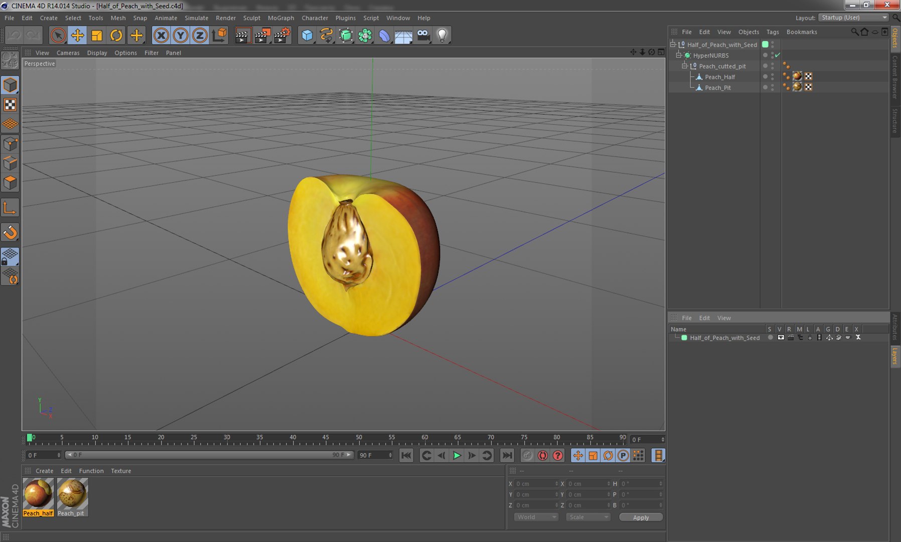 half peach seed 3D https://p.turbosquid.com/ts-thumb/n2/F2OQpE/n7FvZvfg/halfofpeachwithseed3dmodel014/jpg/1503633055/1920x1080/fit_q87/8e563ec538e92be72f81512da0e6bb681ebdb9ce/halfofpeachwithseed3dmodel014.jpg