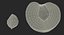 Half of Peach with Seed 3D Model