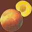 Half of Peach with Seed 3D Model