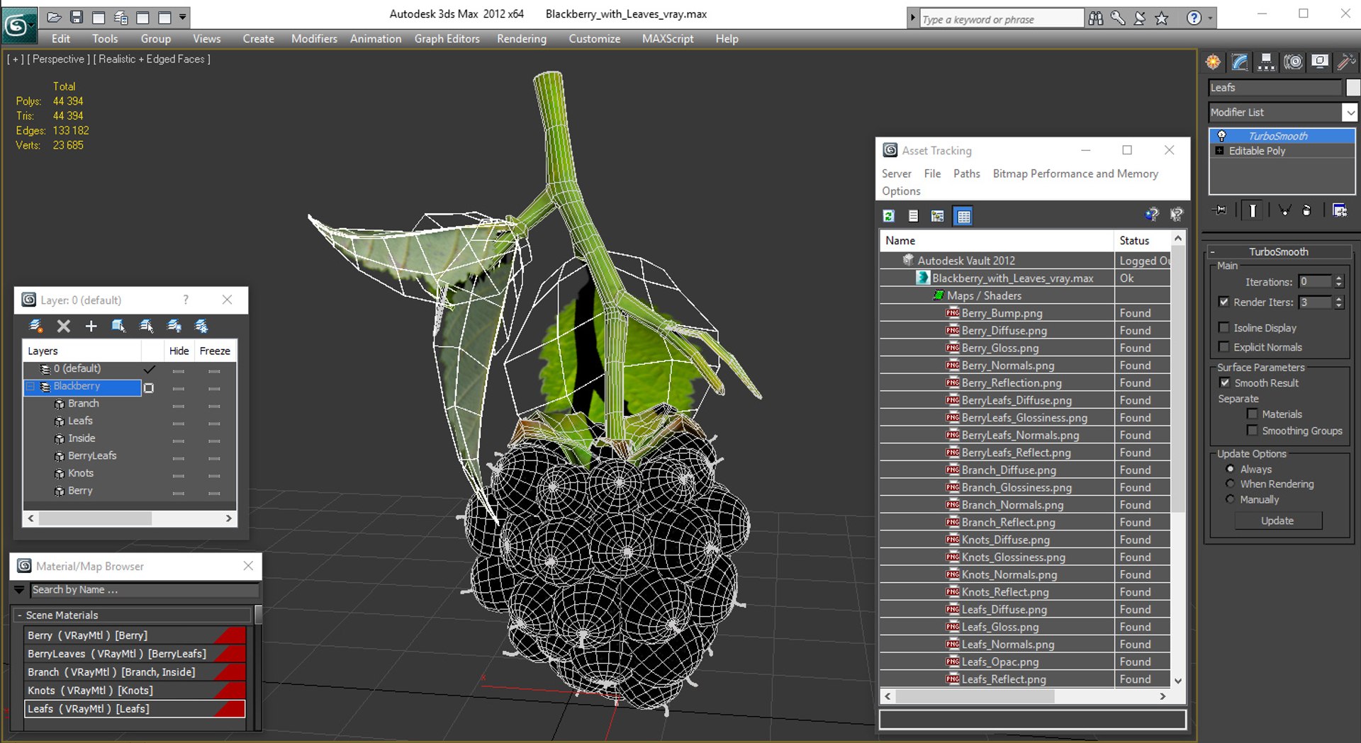 blackberry leaves 3D model https://p.turbosquid.com/ts-thumb/n2/PzYCKq/1zTm0yxC/blackberrywithleaves3dmodel014/jpg/1550678069/1920x1080/fit_q87/004c81dcadfac91351971e71e791cea552ce95e9/blackberrywithleaves3dmodel014.jpg