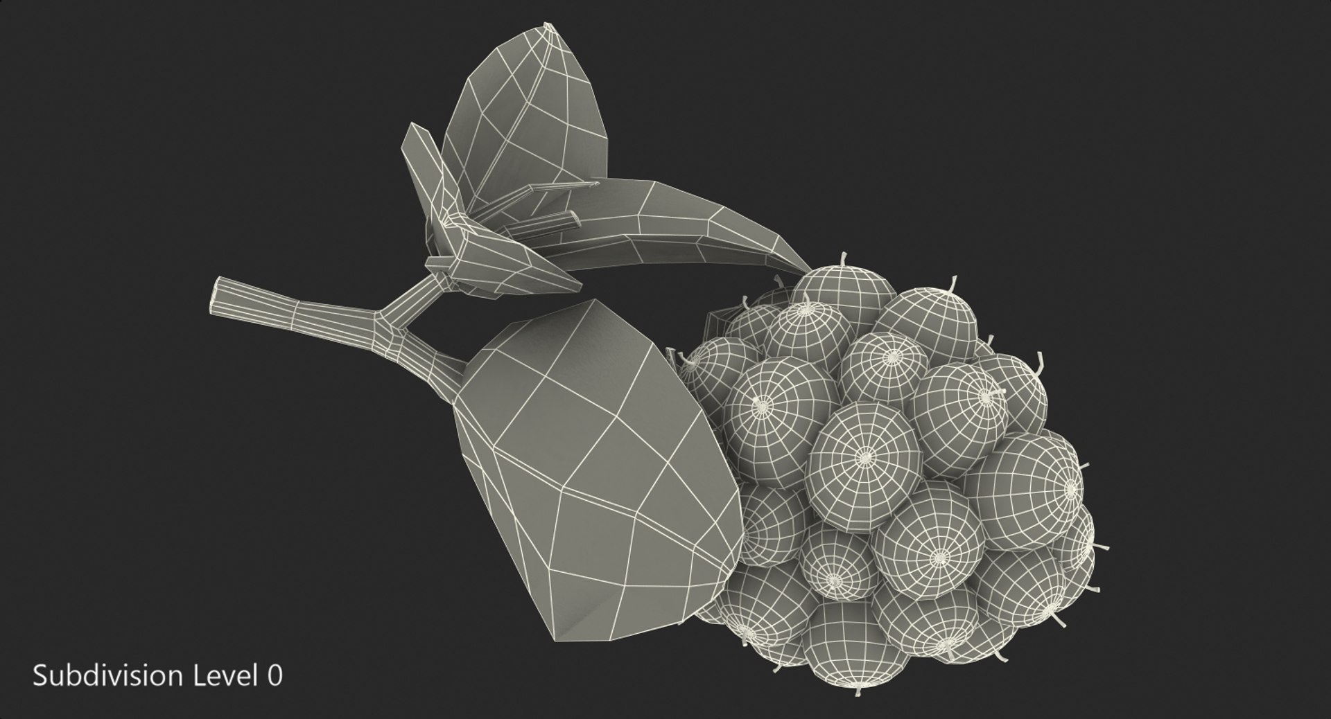 blackberry leaves 3D model https://p.turbosquid.com/ts-thumb/n2/PzYCKq/TA7K3V3z/blackberrywithleaves3dmodel008/jpg/1550678045/1920x1080/fit_q87/70a025d626409d8f20d7b4f3b613593d75483406/blackberrywithleaves3dmodel008.jpg