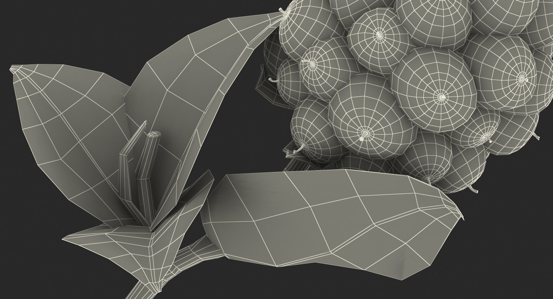 blackberry leaves 3D model https://p.turbosquid.com/ts-thumb/n2/PzYCKq/mT8oTN0W/blackberrywithleaves3dmodel016/jpg/1550678079/1920x1080/fit_q87/5987ec2453e1307e08695c8c27efa20bee6a44be/blackberrywithleaves3dmodel016.jpg