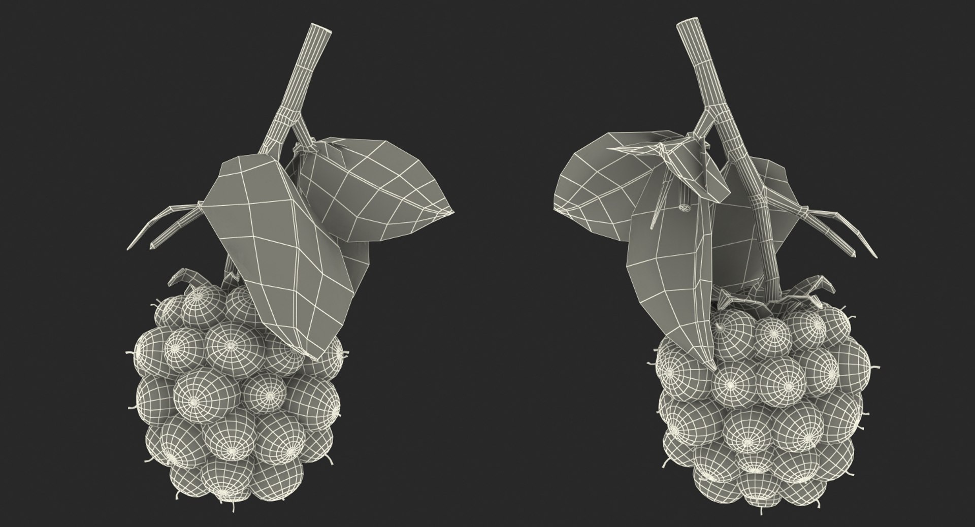 blackberry leaves 3D model https://p.turbosquid.com/ts-thumb/n2/PzYCKq/nFMmVlwx/blackberrywithleaves3dmodel015/jpg/1550678075/1920x1080/fit_q87/2c2a1bebad06b337c17ef34dfc3351394c11d5bb/blackberrywithleaves3dmodel015.jpg