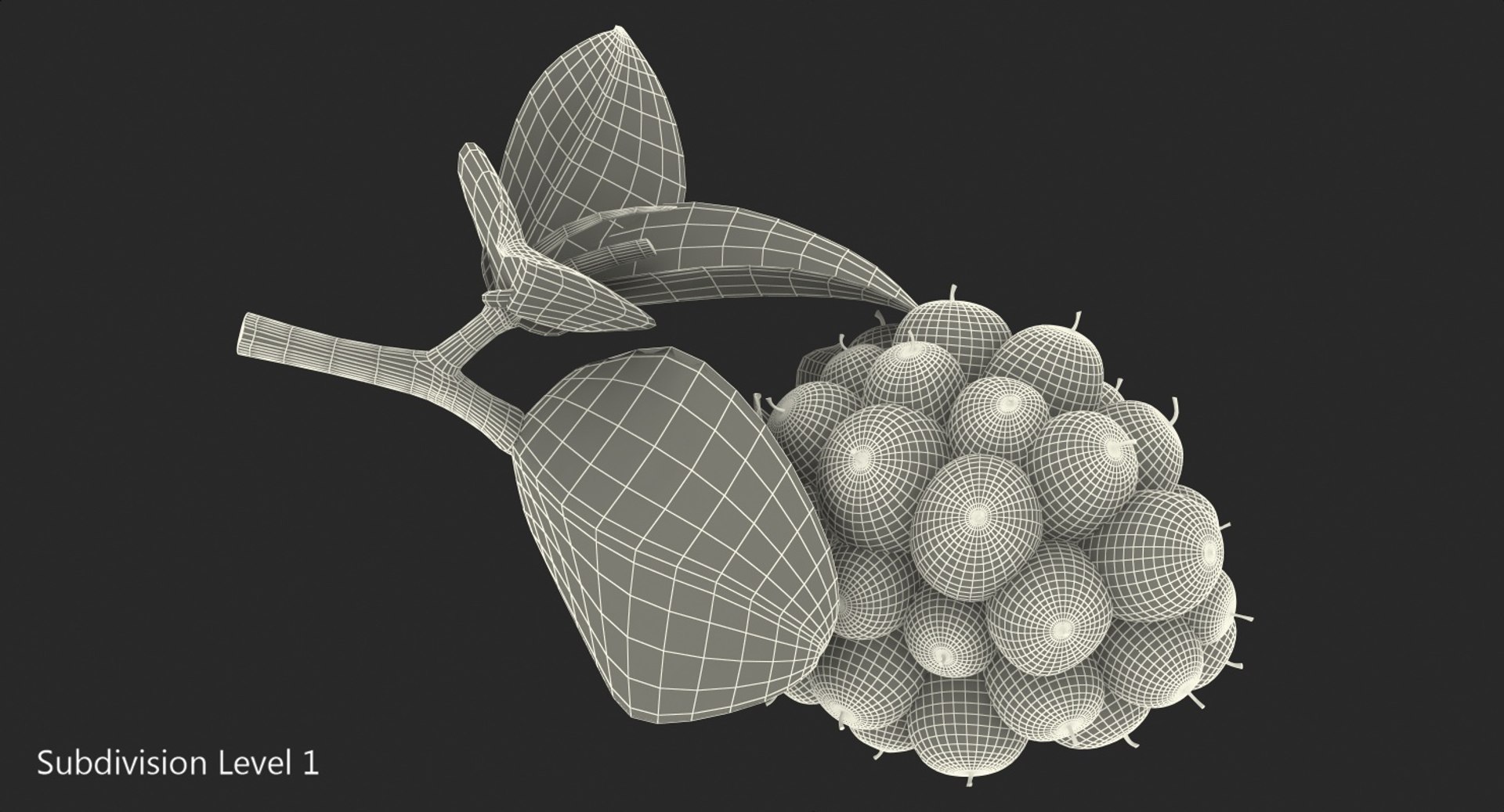 blackberry leaves 3D model https://p.turbosquid.com/ts-thumb/n2/PzYCKq/xYtz4TzL/blackberrywithleaves3dmodel009/jpg/1550678049/1920x1080/fit_q87/f18f7e57fc788ea11f3274236b934f04a5974b60/blackberrywithleaves3dmodel009.jpg