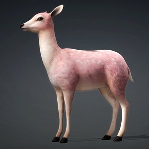 3D Deer-D5