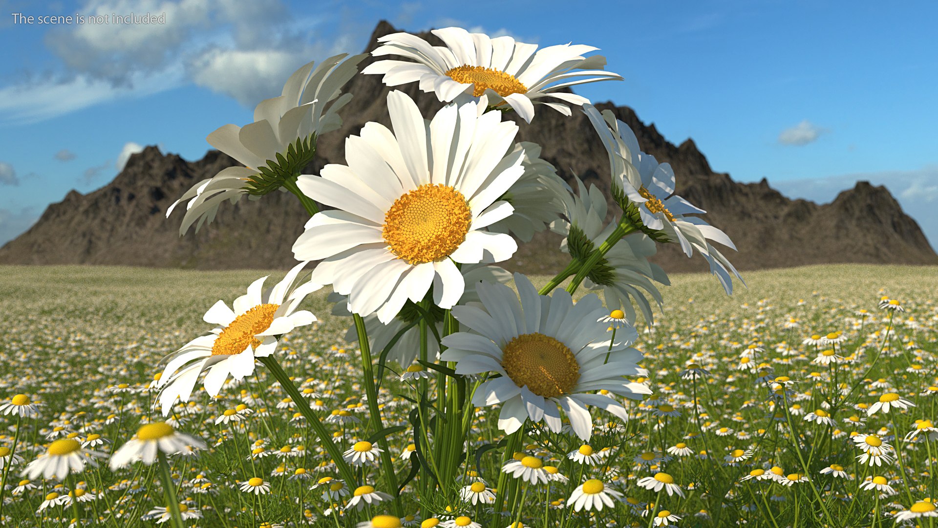 flowers vases 3 model https://p.turbosquid.com/ts-thumb/n2/beFfys/5cuGYe7U/flowersinvasescollection33dmodel004/jpg/1600060732/1920x1080/fit_q87/9cccc02ee6d26a979f745fbf516f973bd5ffbec4/flowersinvasescollection33dmodel004.jpg