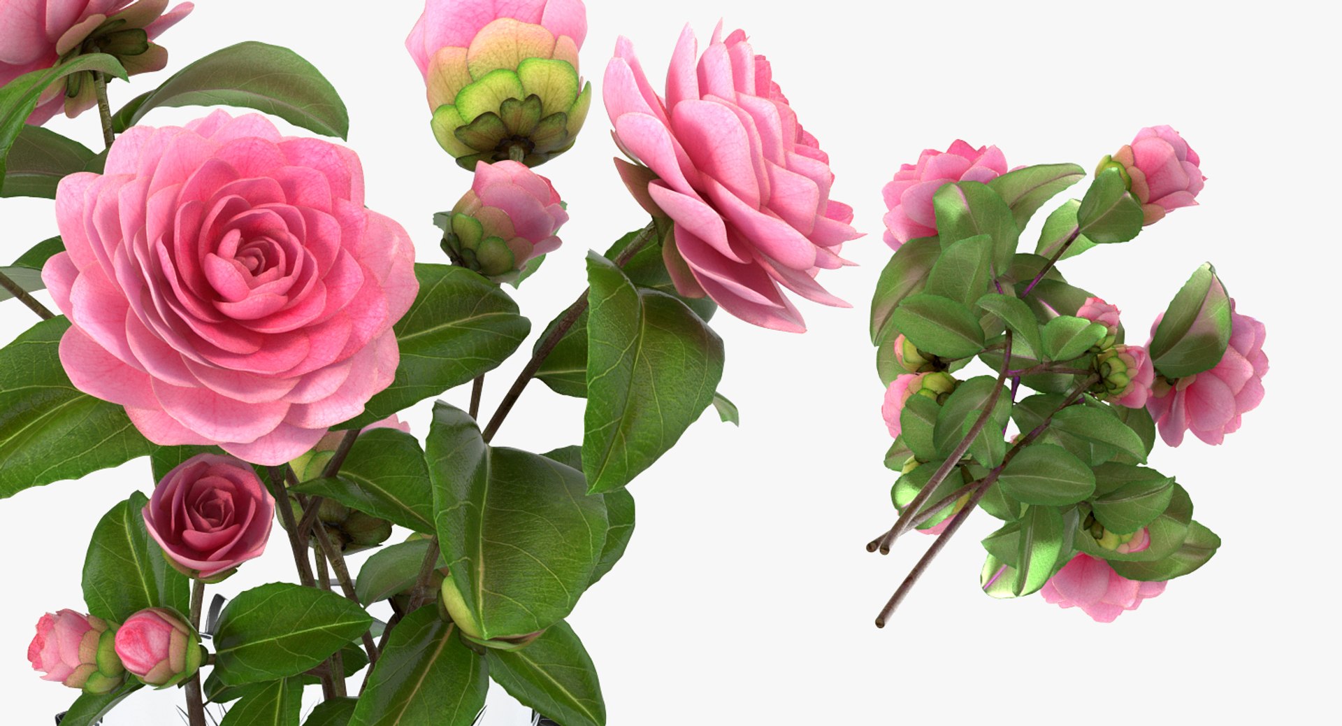 flowers vases 3 model https://p.turbosquid.com/ts-thumb/n2/beFfys/9F9pUSA7/flowersinvasescollection33dmodel035/jpg/1600060813/1920x1080/fit_q87/a22f06f70c40674884a3528d33a7701465458699/flowersinvasescollection33dmodel035.jpg