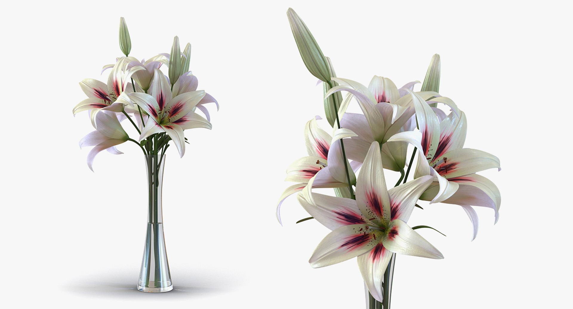 flowers vases 3 model https://p.turbosquid.com/ts-thumb/n2/beFfys/BpBGCR7d/flowersinvasescollection33dmodel071/jpg/1600060904/1920x1080/fit_q87/152b3fe21e9765225910cdb04e7fd050d6224609/flowersinvasescollection33dmodel071.jpg