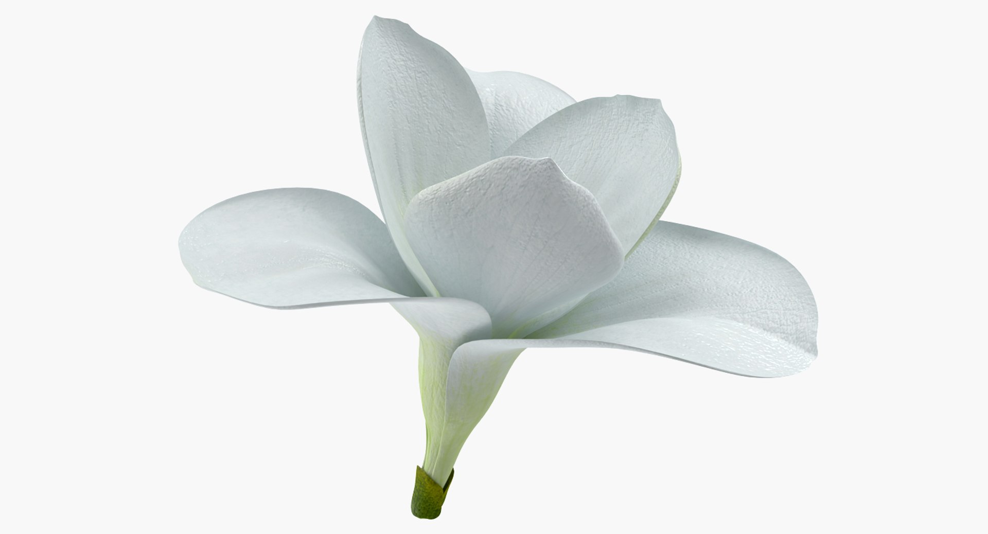 flowers vases 3 model https://p.turbosquid.com/ts-thumb/n2/beFfys/CY62toQq/flowersinvasescollection33dmodel048/jpg/1600060845/1920x1080/fit_q87/c37541cda376da473aa4328f75128ef692235b27/flowersinvasescollection33dmodel048.jpg