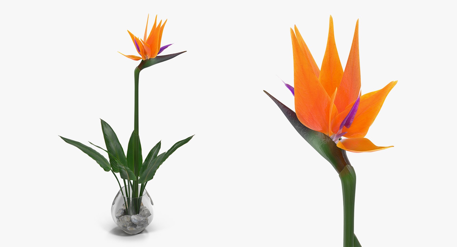flowers vases 3 model https://p.turbosquid.com/ts-thumb/n2/beFfys/CvDf2due/flowersinvasescollection33dmodel067/jpg/1600060894/1920x1080/fit_q87/366a06745f9b2cb2888fadb879f2648cc91e6b09/flowersinvasescollection33dmodel067.jpg