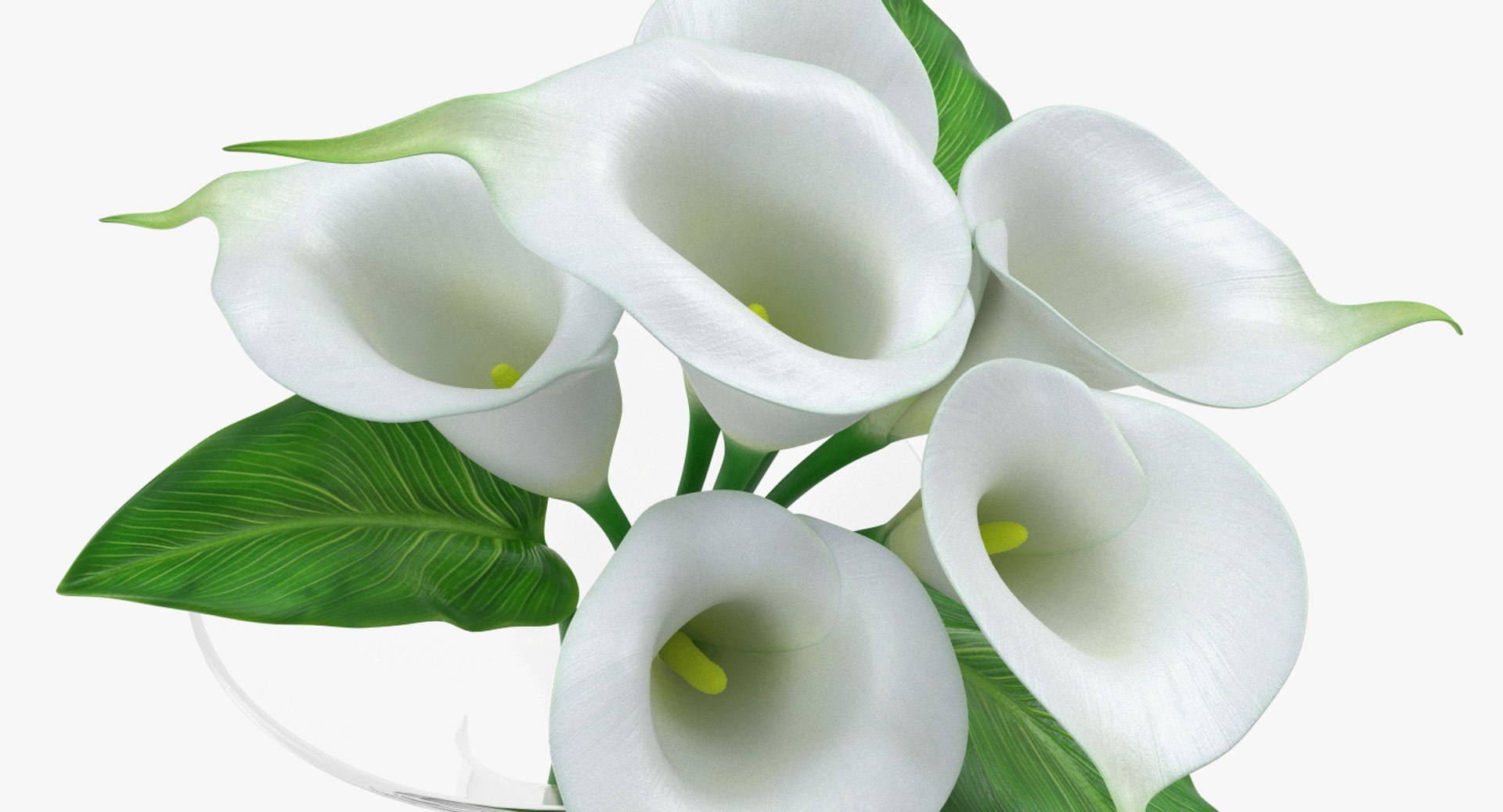 flowers vases 3 model https://p.turbosquid.com/ts-thumb/n2/beFfys/F3JcHCR3/flowersinvasescollection33dmodel029/jpg/1600060796/1920x1080/fit_q87/e4c38443de2d1b550cf6829788a06568e2558987/flowersinvasescollection33dmodel029.jpg