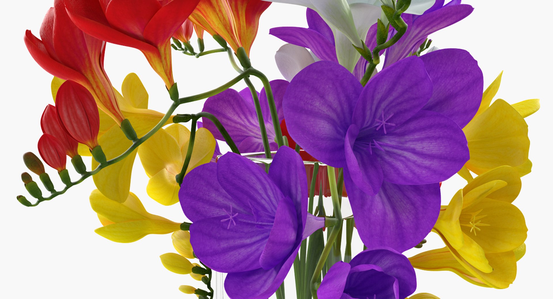 flowers vases 3 model https://p.turbosquid.com/ts-thumb/n2/beFfys/IuTI3oJW/flowersinvasescollection33dmodel040/jpg/1600060825/1920x1080/fit_q87/2fd64eb14a5972767317eb6ea67f8e71b20da2c4/flowersinvasescollection33dmodel040.jpg