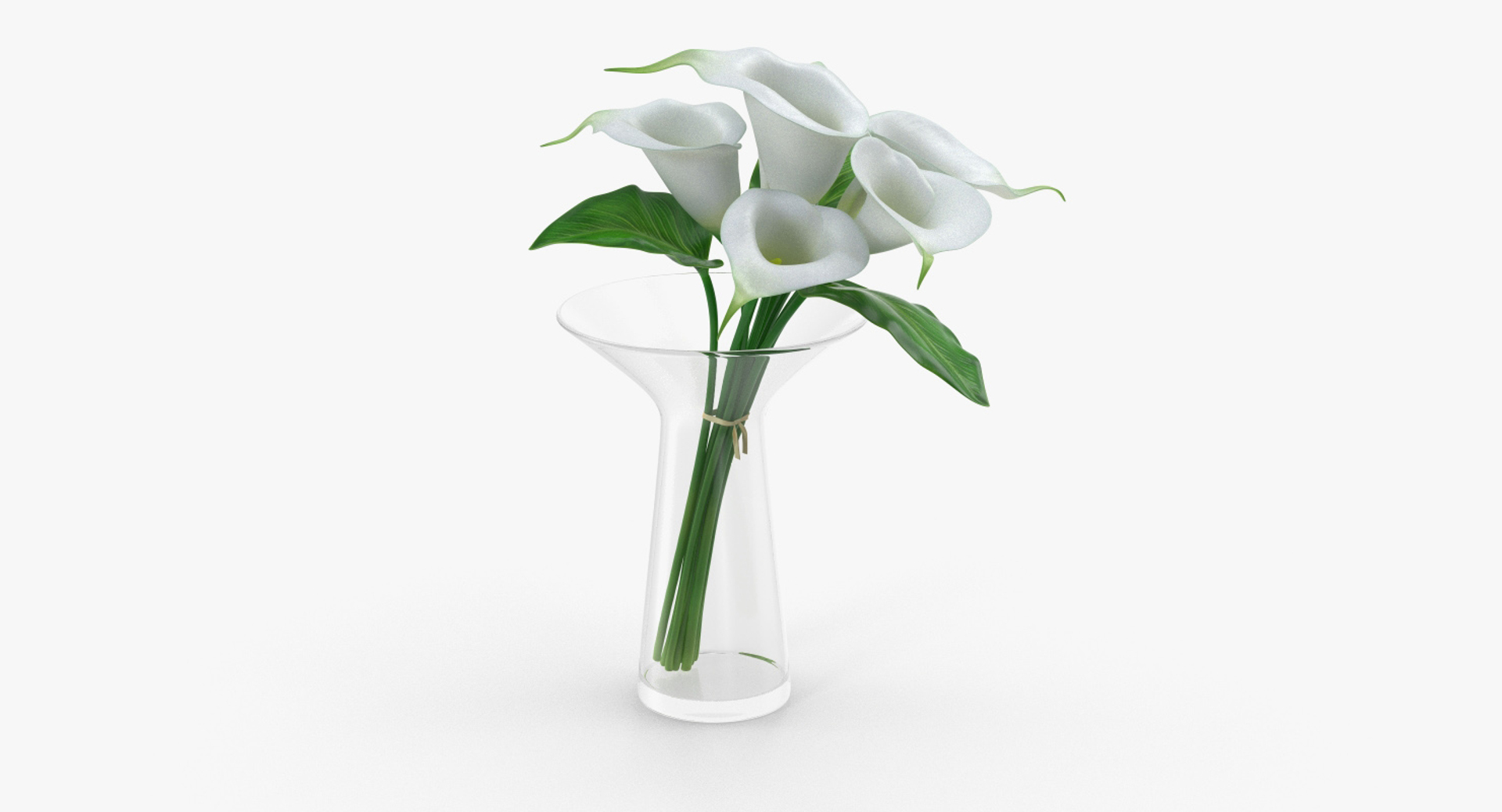 flowers vases 3 model https://p.turbosquid.com/ts-thumb/n2/beFfys/PG77Xv4i/calla_lilies_bouquet_in_glass_vase_360/jpg/1600056998/1920x1080/turn_fit_q99/8731fadb807e4ec7bbf253528f8395ecc8959c8b/calla_lilies_bouquet_in_glass_vase_360-1.jpg
