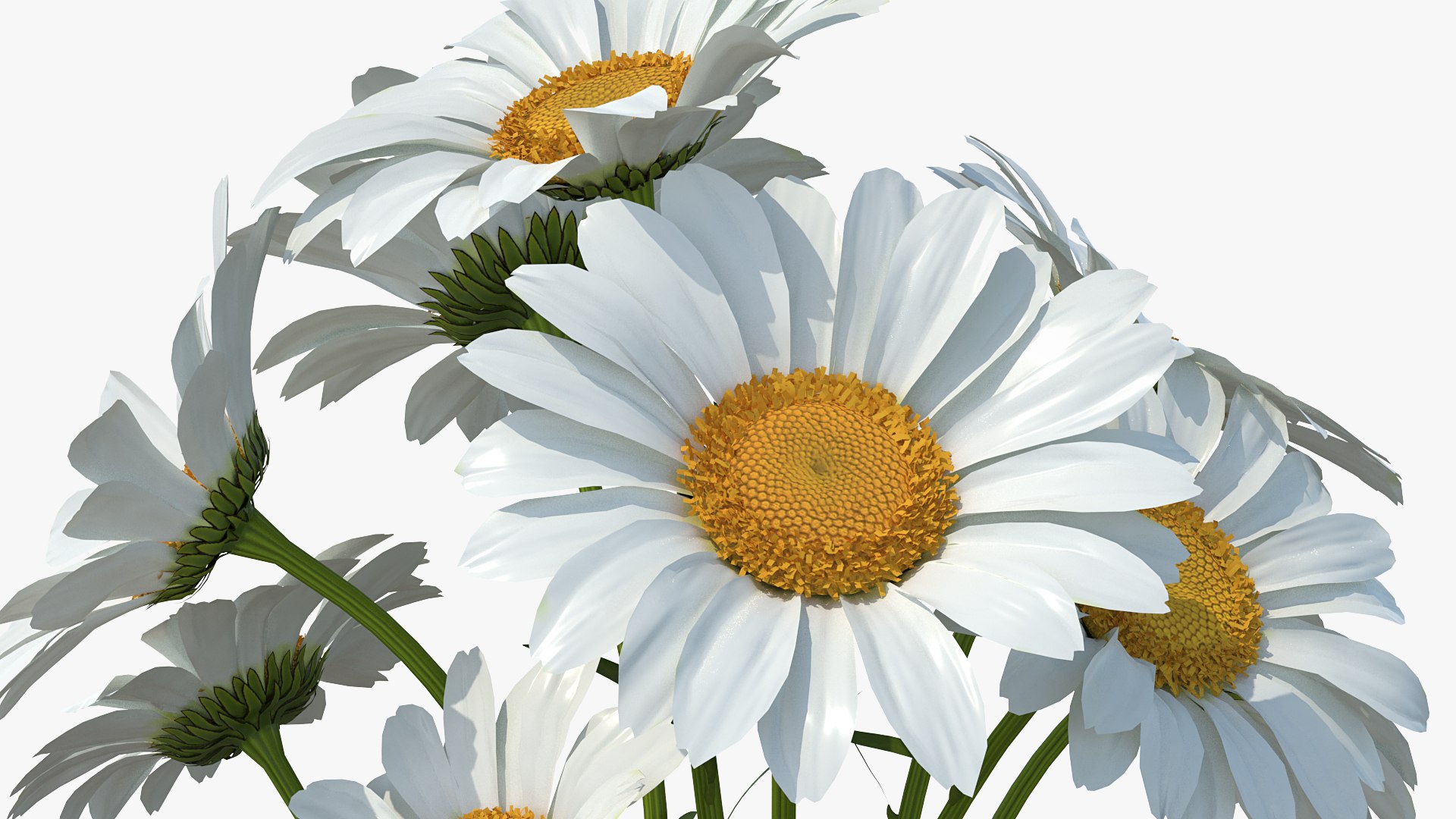 flowers vases 3 model https://p.turbosquid.com/ts-thumb/n2/beFfys/SozvovtV/flowersinvasescollection33dmodel010/jpg/1600060748/1920x1080/fit_q87/40f798c3a2819af9d822782e83199bf094b19b6f/flowersinvasescollection33dmodel010.jpg