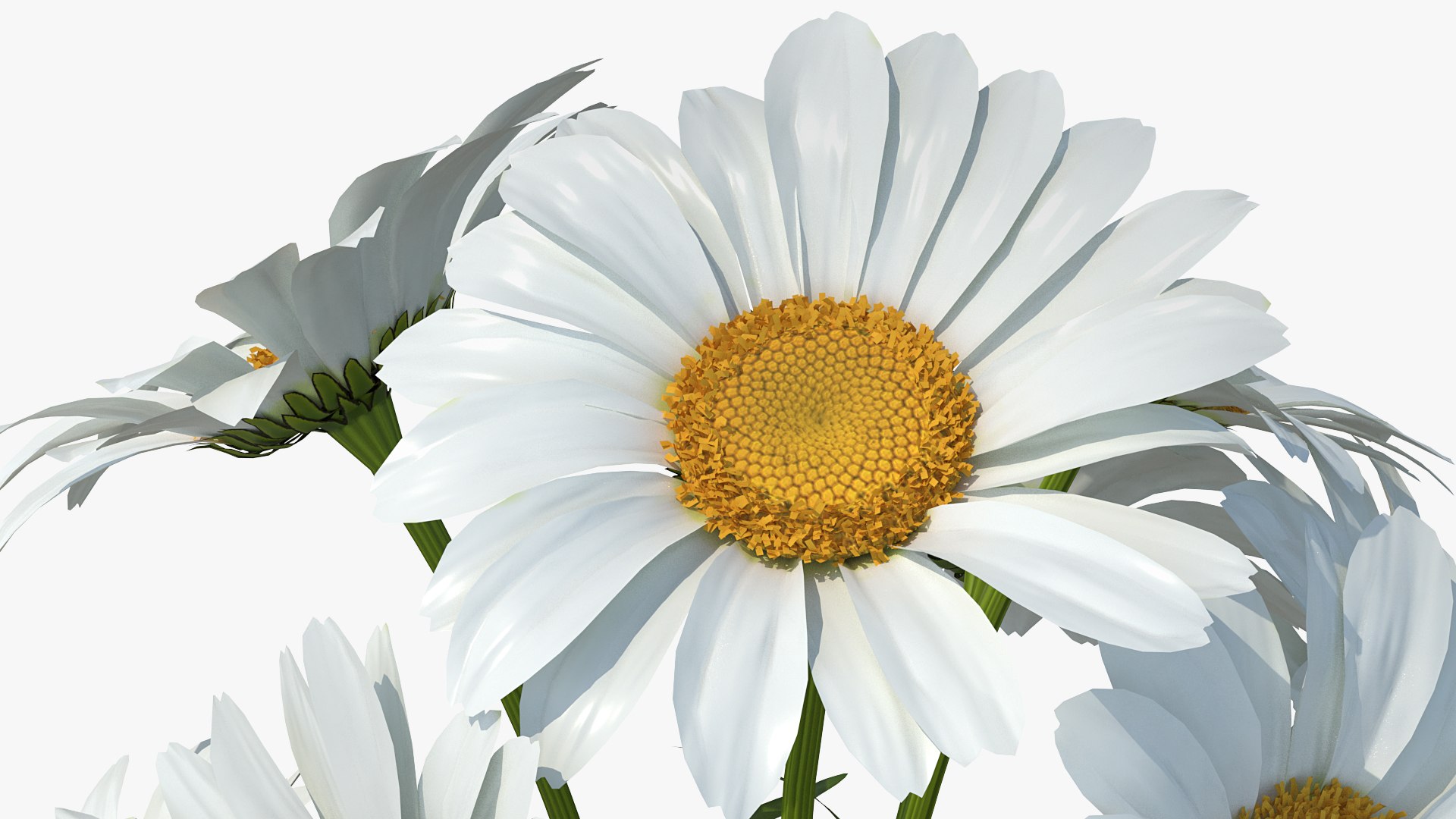 flowers vases 3 model https://p.turbosquid.com/ts-thumb/n2/beFfys/Uhmpm6WP/flowersinvasescollection33dmodel012/jpg/1600060753/1920x1080/fit_q87/c0b9e330deb5e2d4f3fce561d5590dd02e15b5ca/flowersinvasescollection33dmodel012.jpg
