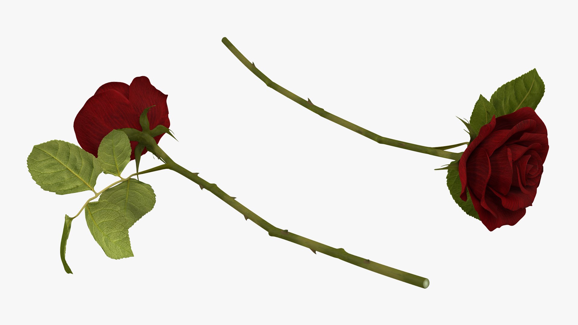 flowers vases 3 model https://p.turbosquid.com/ts-thumb/n2/beFfys/ZtHDjKDf/flowersinvasescollection33dmodel017/jpg/1600060766/1920x1080/fit_q87/9f9ef00aa18d0c904bf1bddbe7f52f6182ca56da/flowersinvasescollection33dmodel017.jpg