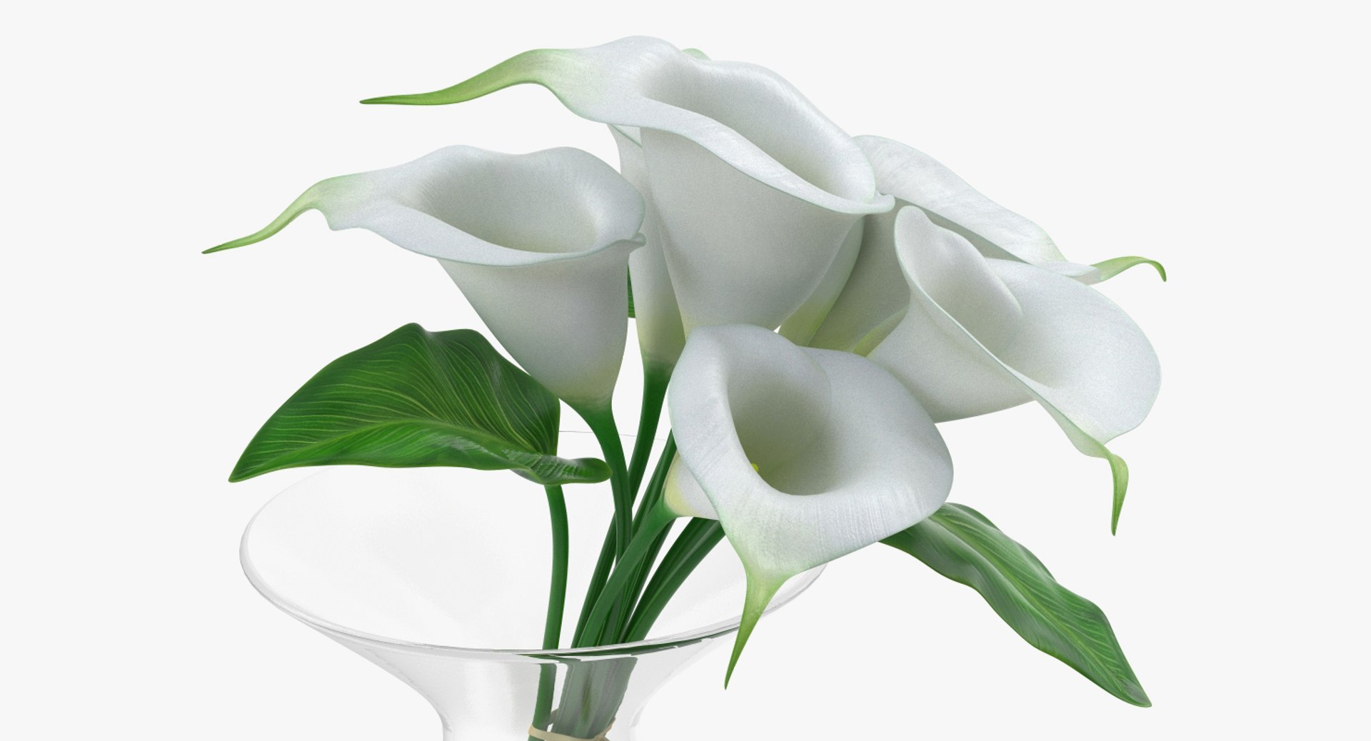 flowers vases 3 model https://p.turbosquid.com/ts-thumb/n2/beFfys/ak8IZSIs/flowersinvasescollection33dmodel026/jpg/1600060789/1920x1080/fit_q87/f9d9be3a723997accb633c0ecc3748f591dbb827/flowersinvasescollection33dmodel026.jpg