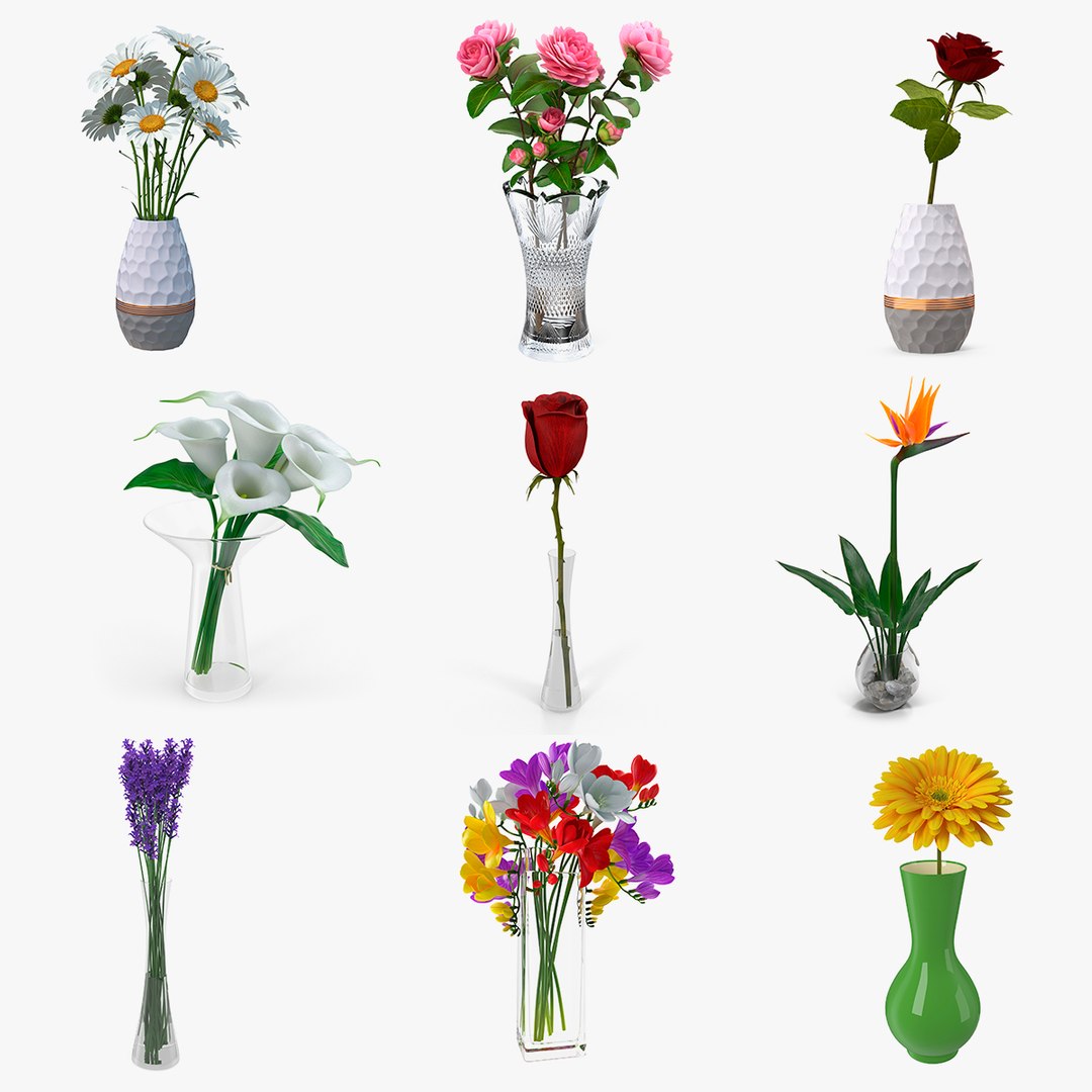 flowers vases 3 model https://p.turbosquid.com/ts-thumb/n2/beFfys/bhCCsEkV/flowersinvasescollection33dmodel000/jpg/1600060722/1920x1080/fit_q87/b4232f9de6413b31a215c6b0234474b6a6a65ae2/flowersinvasescollection33dmodel000.jpg
